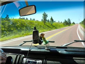 thumb_P1000553.jpg