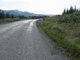 A typical chunk of road weaving through the muskeg