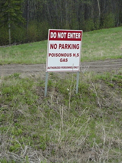 Probably shouldn't have stopped to take this