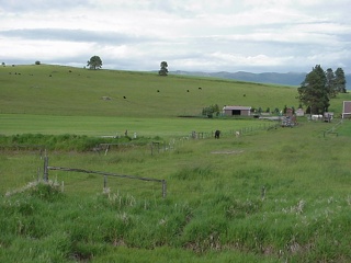 Montana countryside, between Whitefish and Kalispell