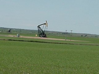 These little oil rigs popped up all over the place