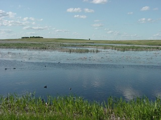 A lot prettier than the picture suggests, Mouse River