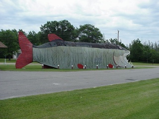 It's a BIG FISH!