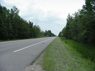 The road may still be straight in Minnesota, but those are trees!