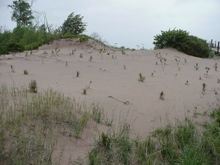 The dunes off of the Minnesota Point