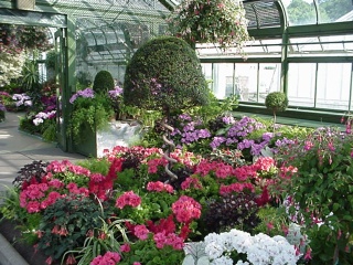 A piece of the Niagra Greenhouse