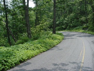 Heading down the Lincoln Gap. while the picture doesn't really show it, it is insanely steep...