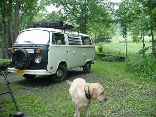 Morning in Pat's driveway, with guard dog Chance