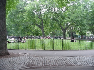Thompkins Square Park in the East Village, an excellent spot for staring (discreetly) at New Yorkers