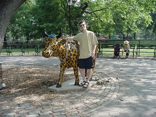 Back in Thompkins Square, we spot a New York cow