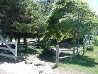 Also in the cemetery is John Belushis's grave