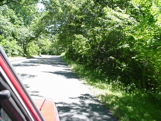 Much of Martha's Vineyard is still rural, as this road suggests
