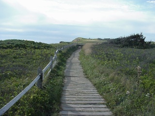 A quaint little boardwalk back to the parking area