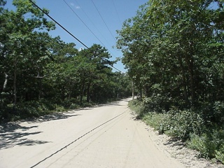 A little back country Martha's Vineyard dirt road