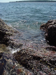 The Atlantic Ocean fills a tidal pool