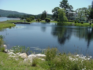 A pond outside of Southwest Harbor, on Mount Desert Island