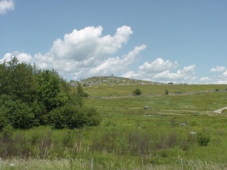 A rocky hillside along the Maine coast, this kind of terrain is responsible for stone fences throughout New England
