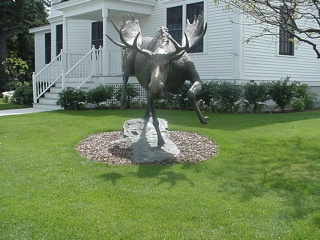 Truly a funky moose!