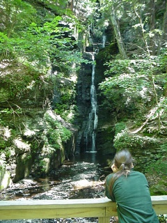 Dingman's little fall