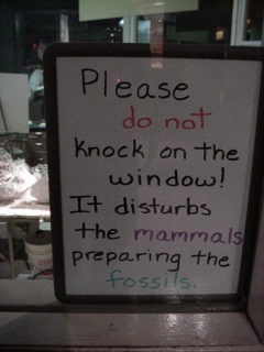 Wish we'd seen this first, they all ran away...