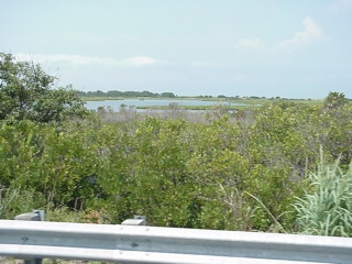 A little Outer Banks marsh land