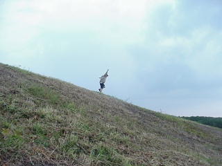 Taking off...