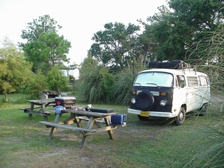 Morning in the Cape Woods Campground