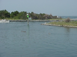 It was a very pretty day in the Ocracoke harbor...