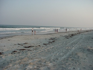Our evening's lodging, Huntington Beach State Park, just south of Myrtle Beach and Murrell's Inlet...