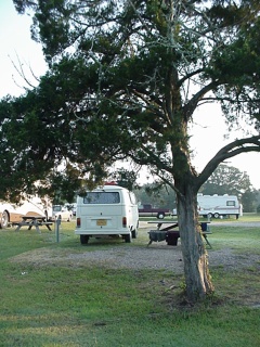 Morning in the Huntington Beach State Park campground