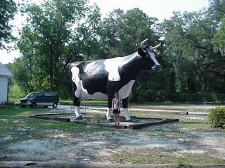 Theresa, with Brian's dream cow...