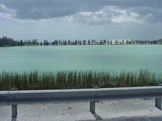 An amazingly green lake near Miami. We suspect bad chemicals