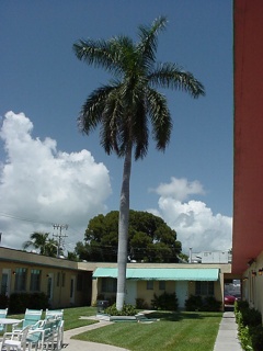The courtyard out our front door