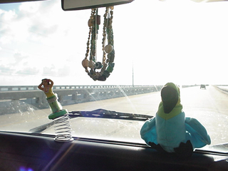 Our traveling companions, "Hula Gal" our tropical dancer and "Mistregipht" our parrot
