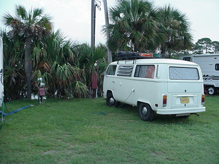 Morning in Alligator Point, FL, next to palm trees and the Gulf of Mexico