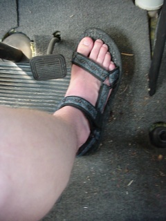 The view from Brian's perch this morning. No, his calves have not grown as much as this perspective would suggest
