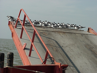 ...and we weren't the only ones enjoying the ride
