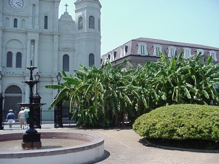A courtyard in which New Orleans was founded, Brian really liked the big bushy palm thing
