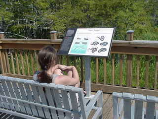 Theresa studying up on little snake info, feet far from the ground