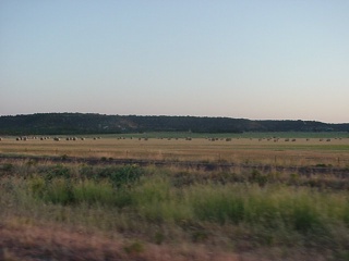 ...to the temporarily green pastureland of the desert below