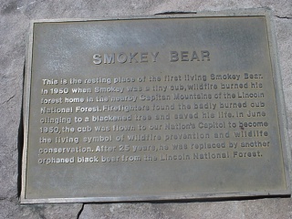 In case your Smokey knowledge is lacking