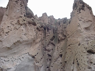 The area was running over with these cool swiss cheese rocks