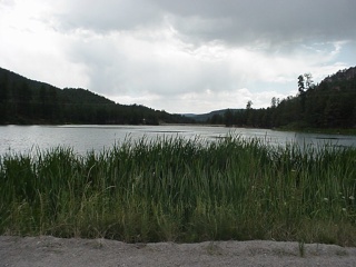 Lake Fenton