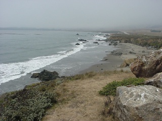 The California coast, north of Big Sur