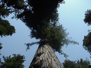 ...this