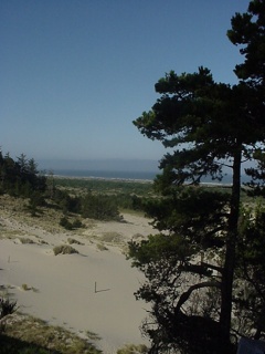 Scenic sandunes