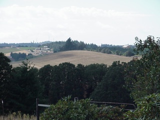 The view from the top of John and Bev's house on the hill