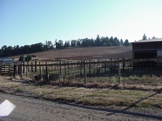 Theresa wonders, "Where are all the cows?"