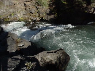 Rogue River Gorge