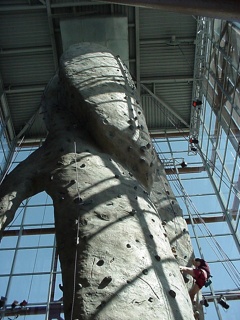 The climbing wall at the new REI
